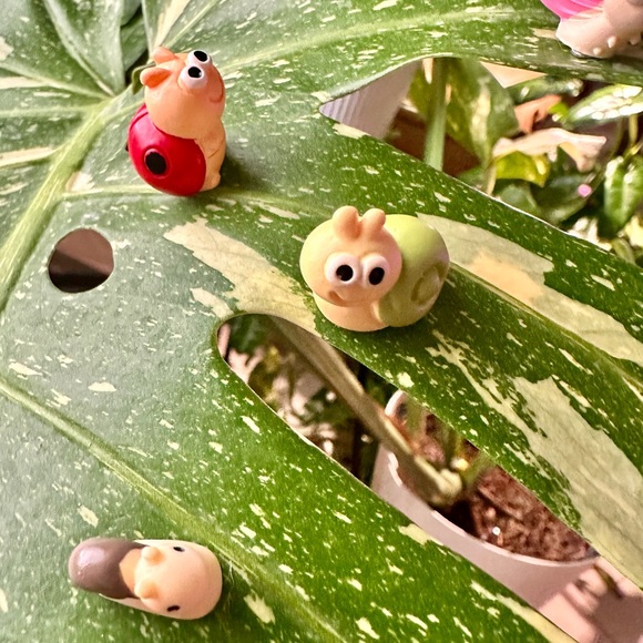 🍃10 pack PLANT MAGNETS!🍃 - Picture 14 of 14